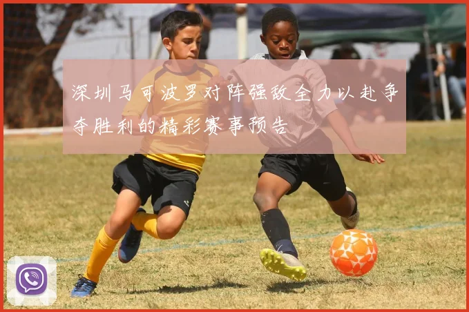 深圳马可波罗对阵强敌全力以赴争夺胜利的精彩赛事预告