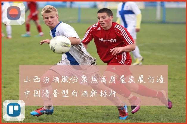 山西汾酒股份聚焦高质量发展打造中国清香型白酒新标杆