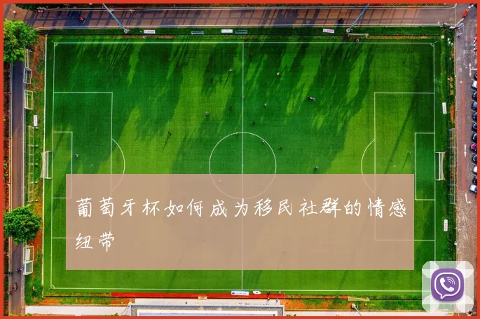 葡萄牙杯如何成为移民社群的情感纽带