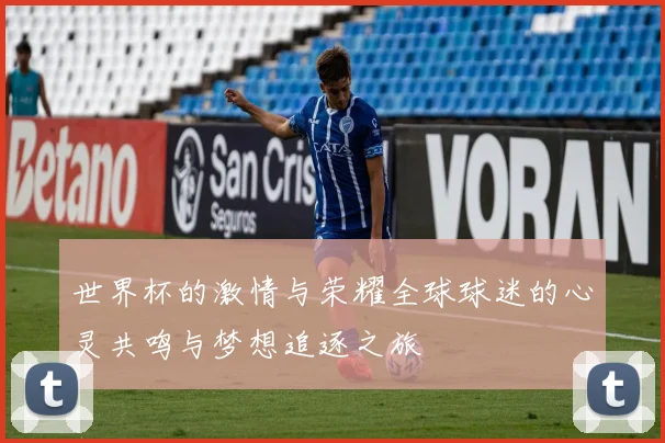 世界杯的激情与荣耀全球球迷的心灵共鸣与梦想追逐之旅