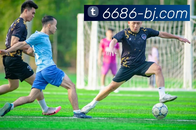 6686APP 高清赛事图